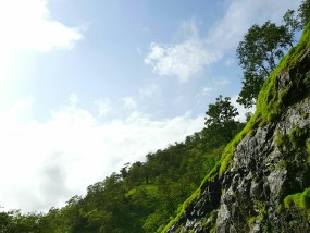 国产网红在线:银川的黄山摄影作品——探寻光影中的自然之美